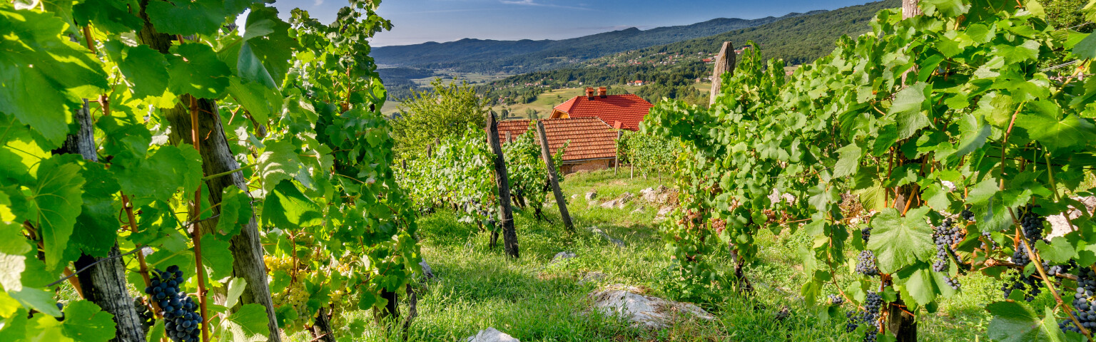 Praznovanje velike noči v Beli krajini