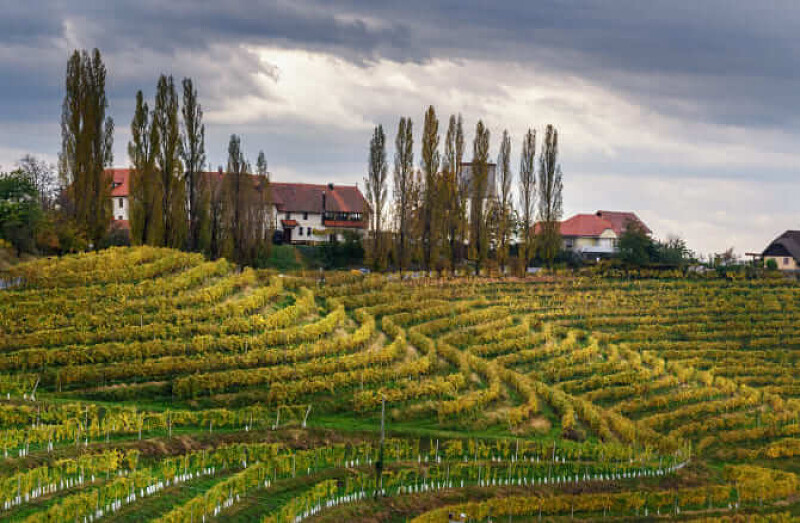 Potepanje po Pomurju