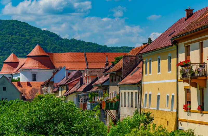 Posavje za radovedne glave